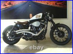 Radii Chrome 2 Curvado Big Radius Drag Exhaust Pipes 2004-2020 Harley Sportster